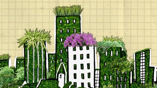 urbangardening_still